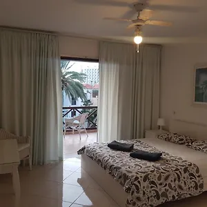 https://apartamento-las-americas-paraiso-royal.in-canary-islands.com